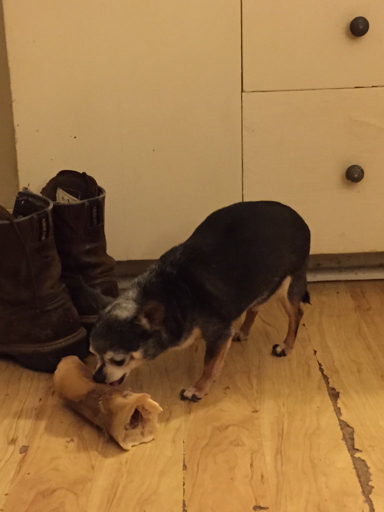 Ashley Wolff tweet media