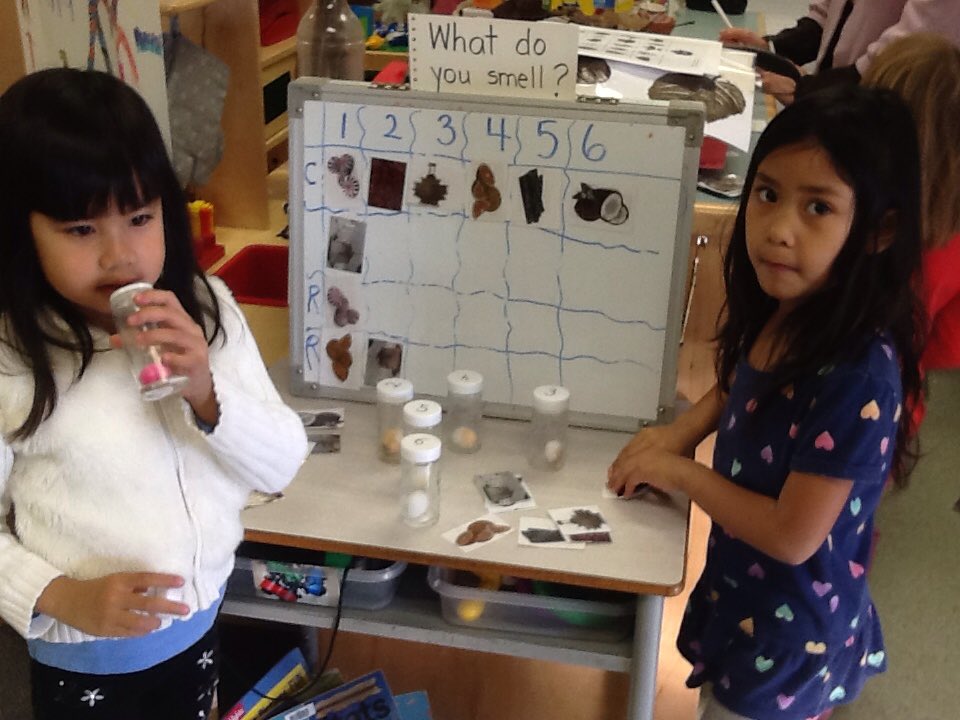 KimKkearney's tweet photo. Discovering our sense of smell in FDK@stpetersaints #HereI https://t.co/9o4wNhgDzK