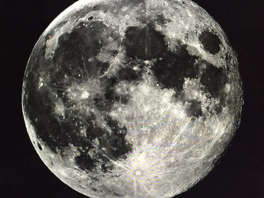 Patsy Parkinson (@chloecousins) | Twitter