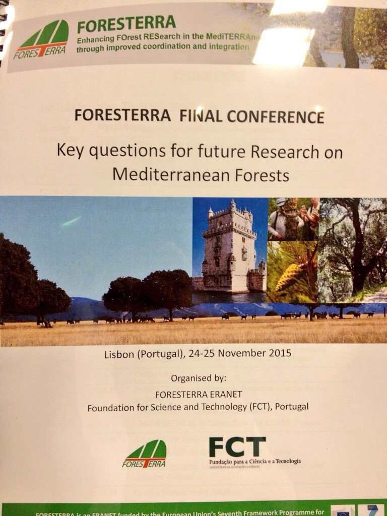 ctforestal's tweet photo. Inazio Martinez @europeanforest presenting innovation frameworks for forestry in the mediterranean
#foresterra https://t.co/DCJWxvf6US