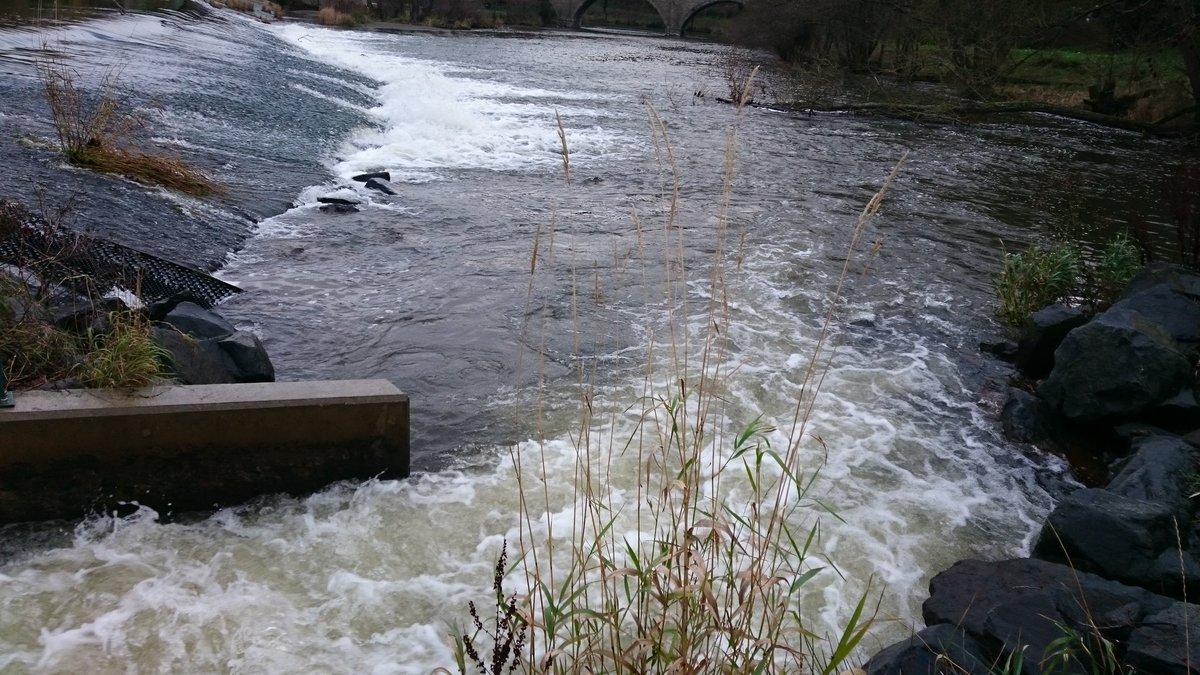 The_RRC's tweet photo. Great day visiting @severnrivers fish passes! Fantastic work improving #Fishpassage on the Teme. #RTconf https://t.co/1R8EcVKM4e
