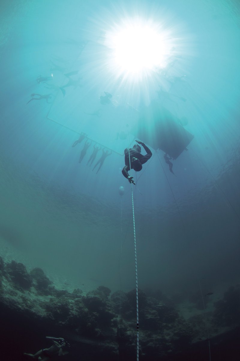 suunto's tweet photo. "The underwater world is such an incredibly different place" -@WillTrubridge #WhyIDive #SuuntoDive https://t.co/VlwLAG5dPq