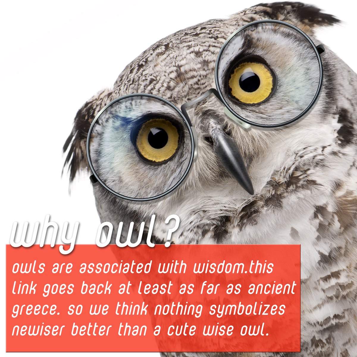 newiser_ab's tweet photo. #WHY we think #nothing #symbolize #newiser #better than a #cute #wise #owl? https://t.co/R6DNycvXBz