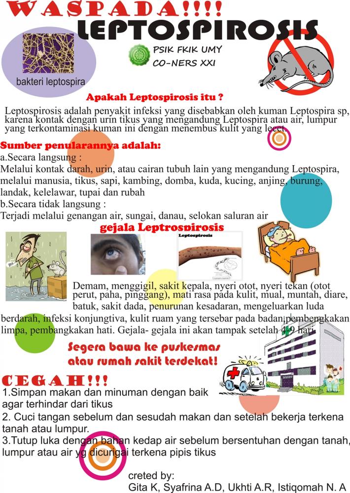 Surabaya sudah memasuki musim hujan, waspadai Leptospirosis.