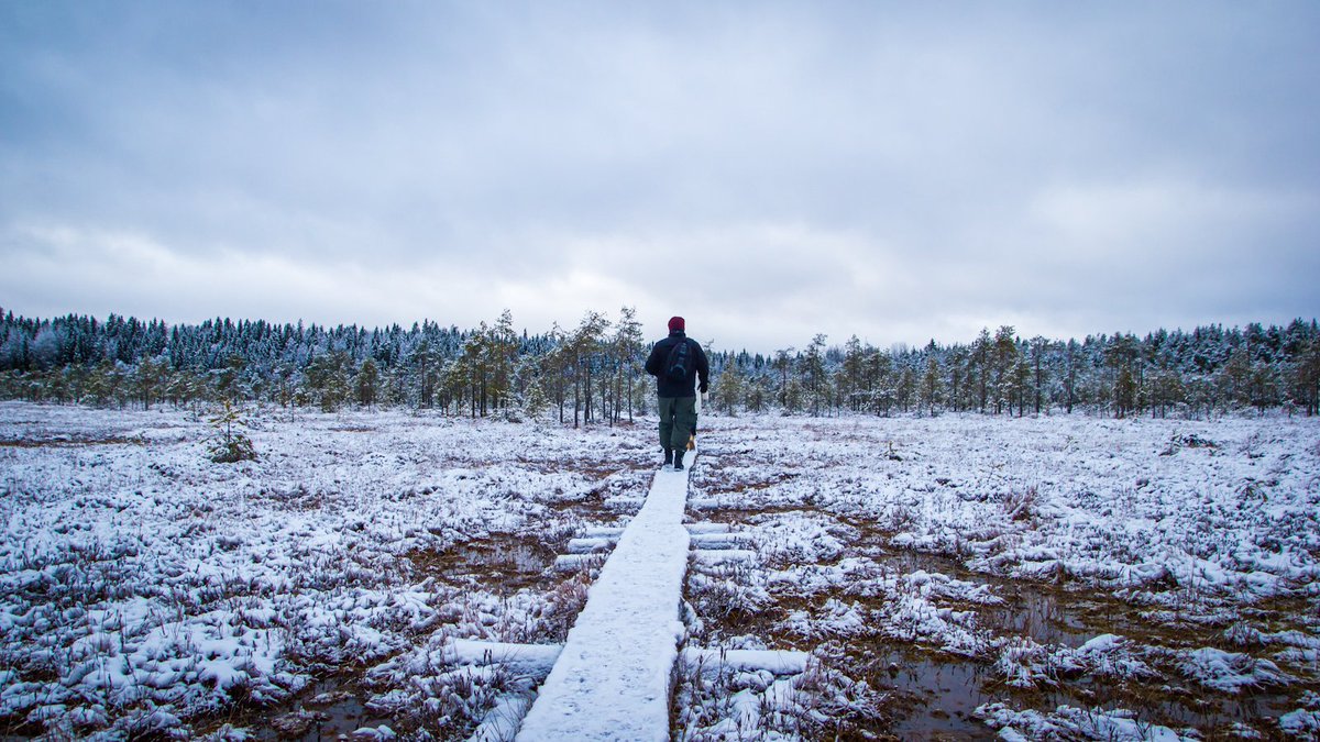 jyri_sav's tweet photo. kiitos @msepi kuvasta! #canonsyksy #talvi? #suossa https://t.co/ag6muglioj