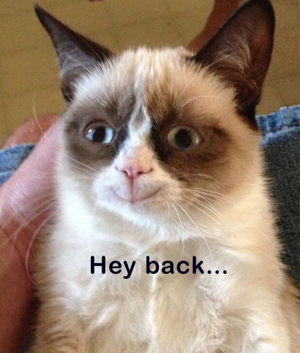 birb108's tweet photo. When @chriscolfer says
"Hey Grumpy cat.."
#grumpycat #grumpynotgrumpy https://t.co/U9sCNHtqKE