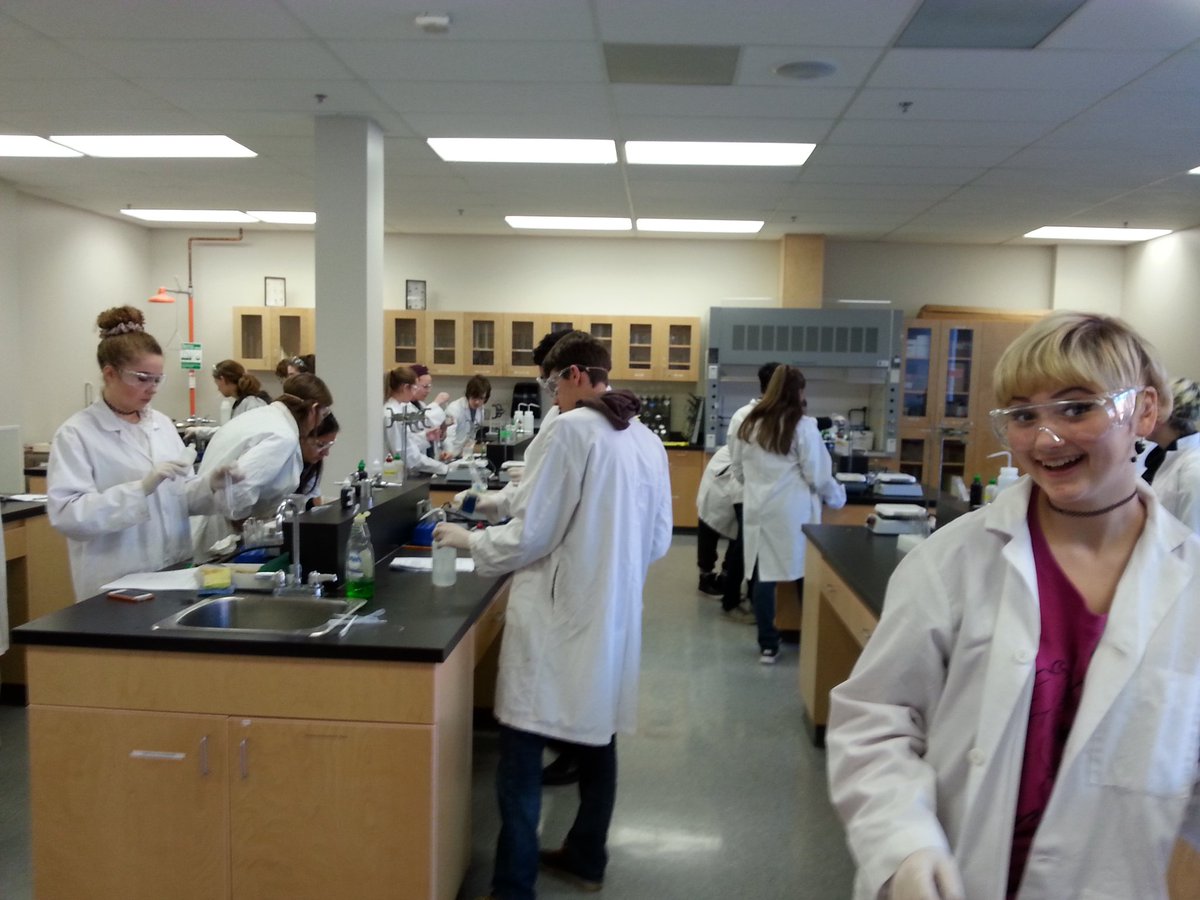 MrDyer1's tweet photo. Testing blended Big Mac Meal for macronutrients! #vicscience https://t.co/gEE3EOviRh