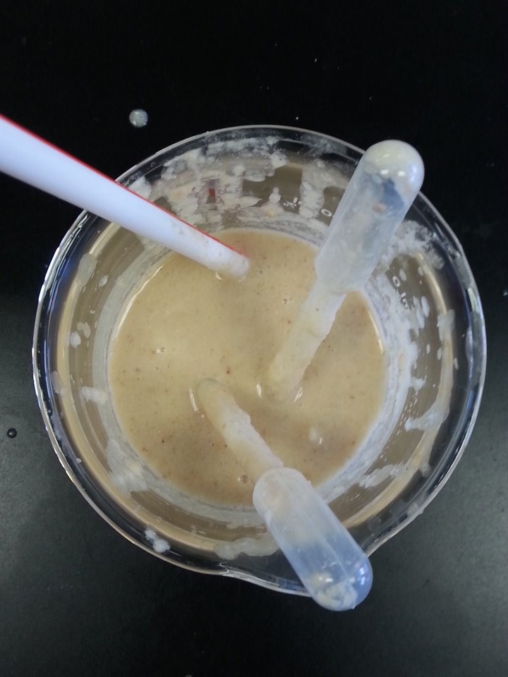 MrDyer1's tweet photo. McMush! #vicscience https://t.co/epnkgeCyLT