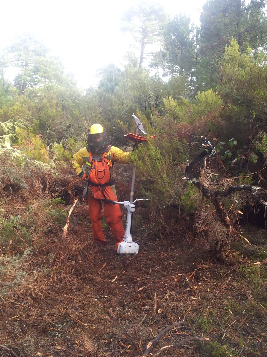 briftabuyo's tweet photo. Antes y después del tratamiento en pinar para resinar en Tabuyo del Monte #LeonEsp #BLP2015 #BRIF #PrevenciónIIFF https://t.co/HvObdiqdti