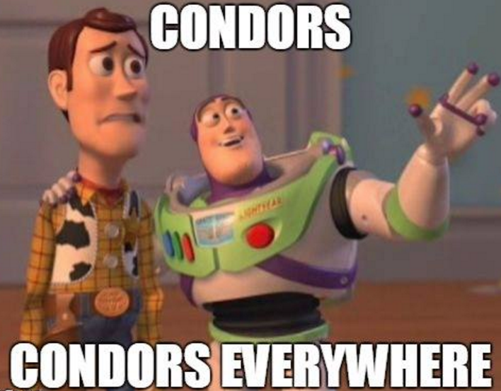 BestShotACPR's tweet photo. ONE MORE DAY until the #BestShotACPR hockey shoot-out from 12:30-2:30pm in J-Building @condorsottawa https://t.co/ixfxww4UQK