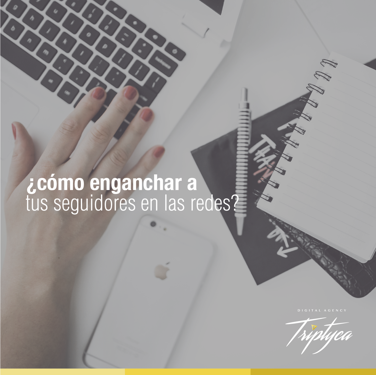 TriptycaAgency's tweet photo. Tenemos 3 consejos geniales para enganchar a tu seguidores en las redes https://t.co/wVx34LEDK2 https://t.co/gR1ZxM0Ovk