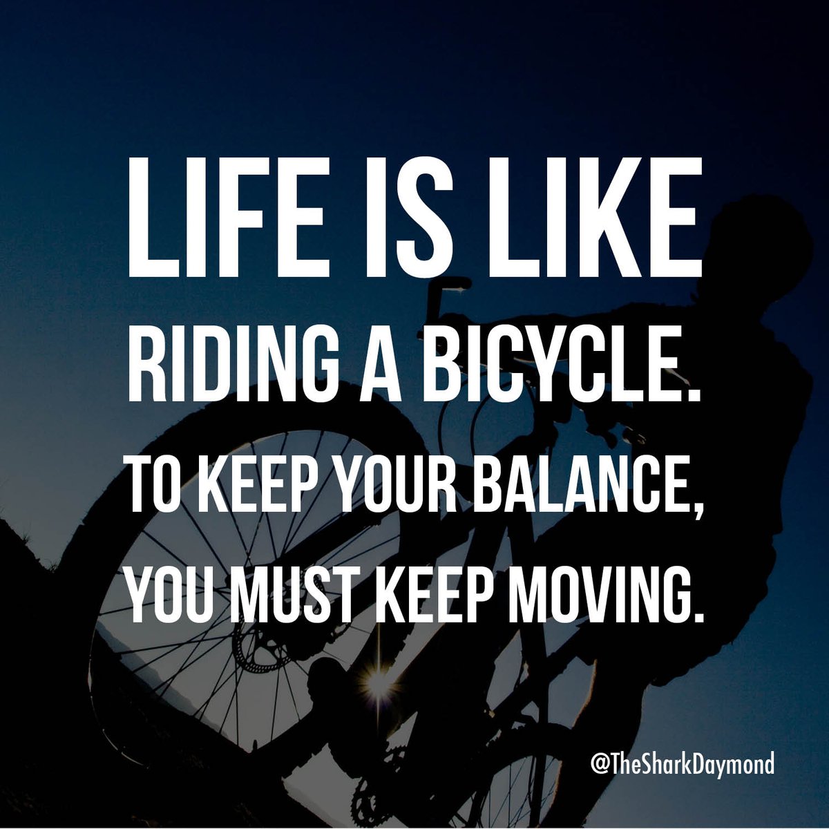 TheSharkDaymond's tweet photo. Never look back. RT if you're with me! #ThePeoplesShark https://t.co/ubRz0XeJJD