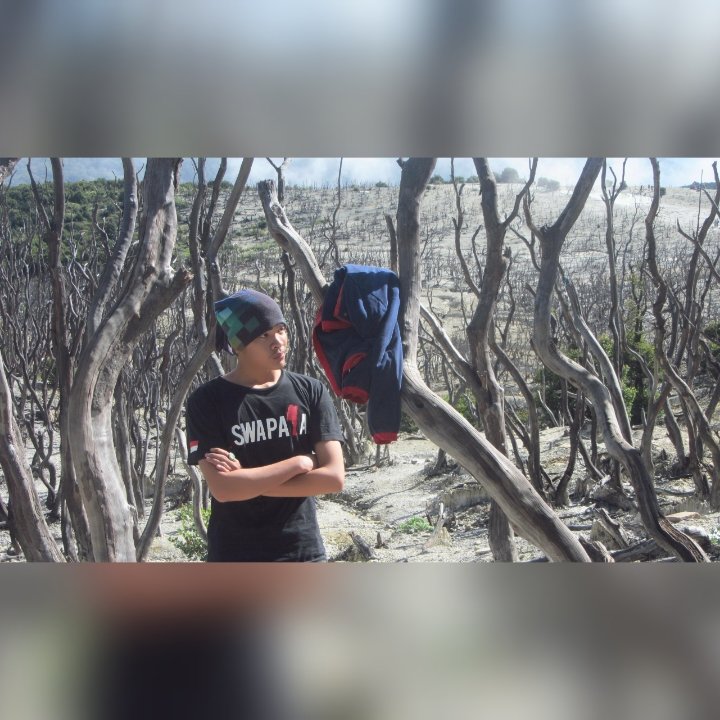fikri_lagilagi's tweet photo. Hutan mati @mt_papandayan https://t.co/5piGvkOuaH