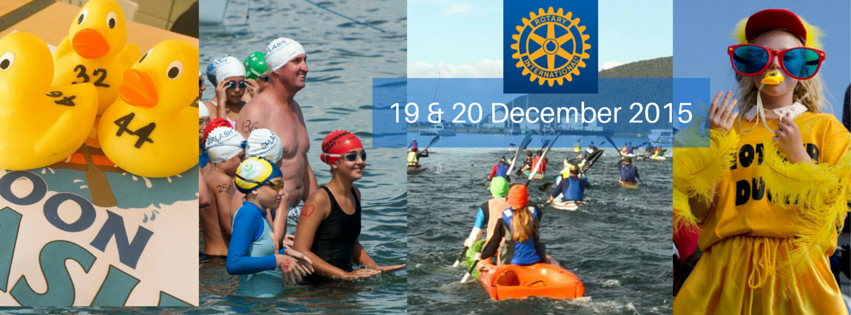 Knysna Splash tweet media