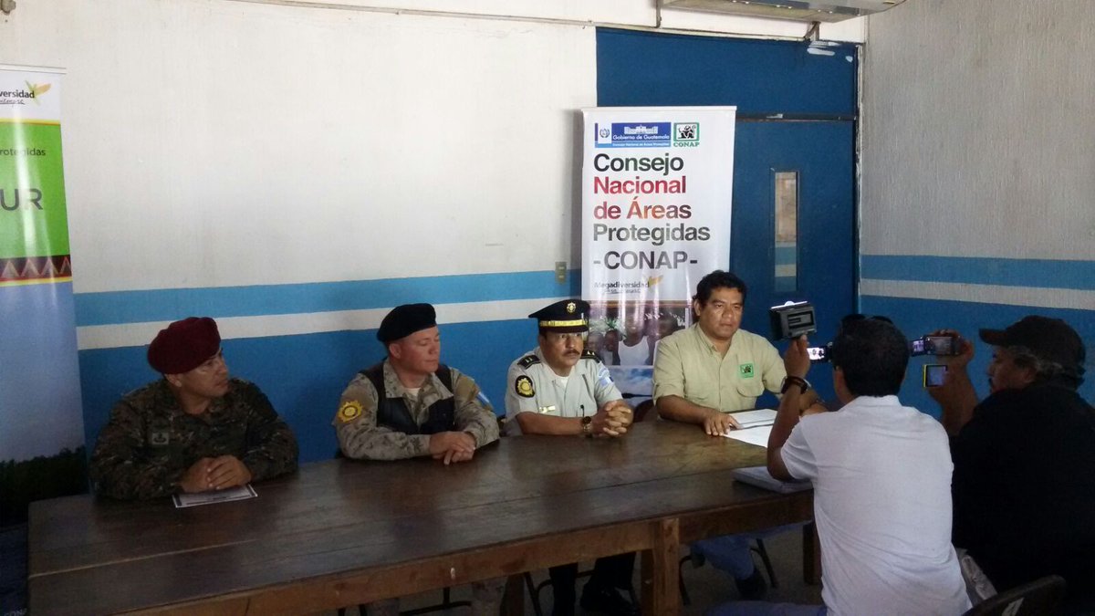 CONAPgt's tweet photo. @CONAP_COSTASUR lanza localmente estrategia en favor de la conservación del #Pinabete participa @PNCdeGuatemala https://t.co/NIWK9JgUkh