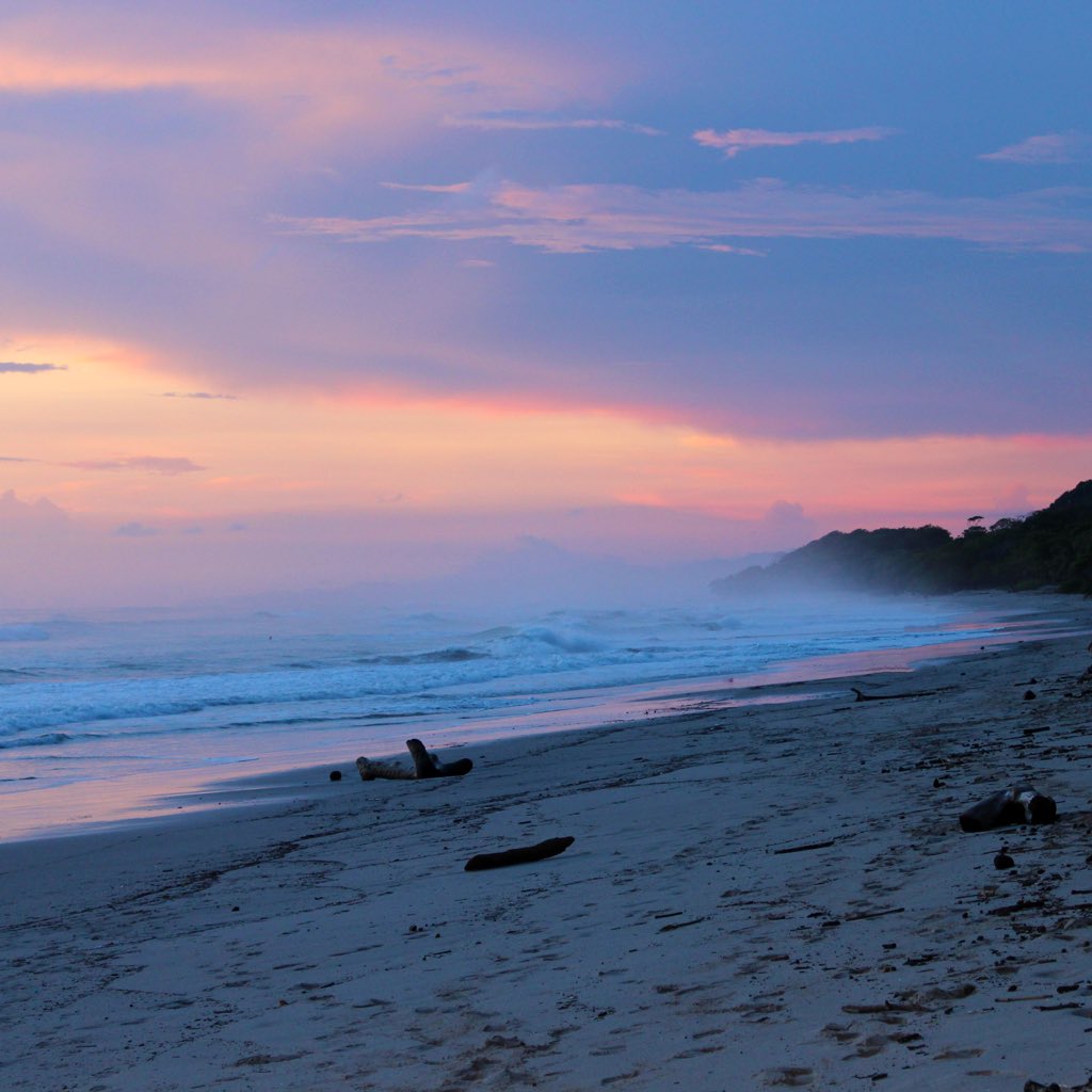 Vegan_ST's tweet photo. Dreamy #sunsets never lose their charm. #SantaTeresa, #CostaRica #paradise #sunset https://t.co/s89caJlf84