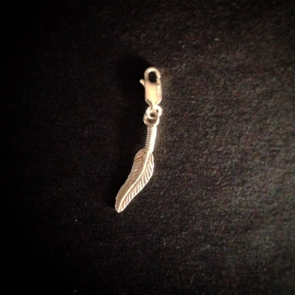 CharmingNcklace's tweet photo. 🌟 New Charms 🌟 #feather #charmingnecklace https://t.co/rleaYq7vxw