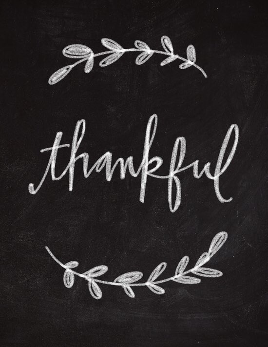 ShannonGehrmann's tweet photo. It's easy 2 B Thankful when U have a team like #TheG199-MLs,BPs,DTLs, STLs,ETLs, TLs, TMs..THANK you. #R100thankful https://t.co/JTvzExH0BQ