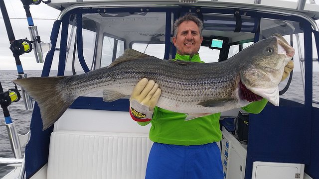 MDDNRFISH's tweet photo. Happy Thanksgiving from @MDDNRFISH, the Weekly Maryland Fishing Report https://t.co/SLf7zFZ2LX https://t.co/BTflrufRE3