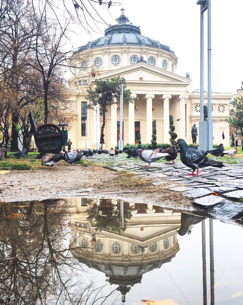 fizz_cristi's tweet photo. #Athenaeum https://t.co/y33ynzucyi