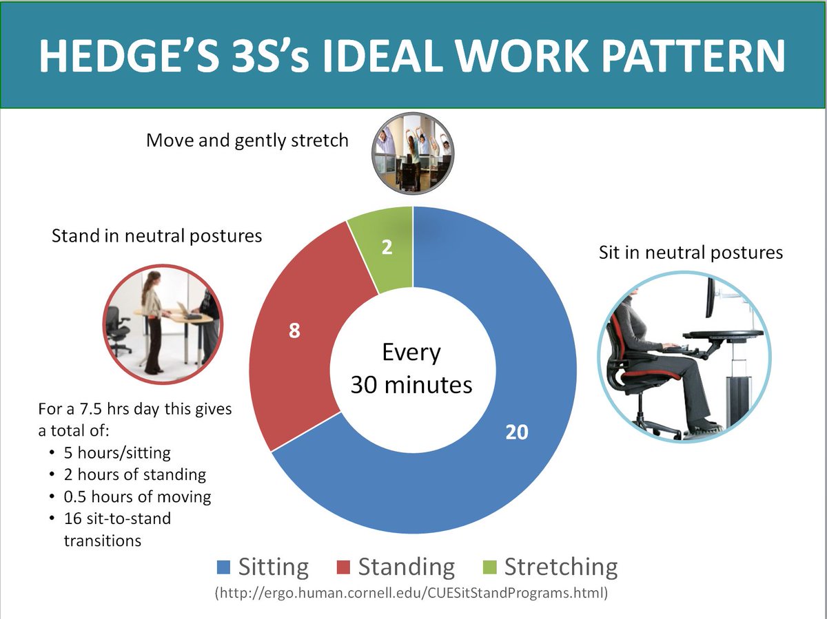 Latest sit/stand workstation recommendations for sitting vs standing time, via Dr. Alan Hedge.