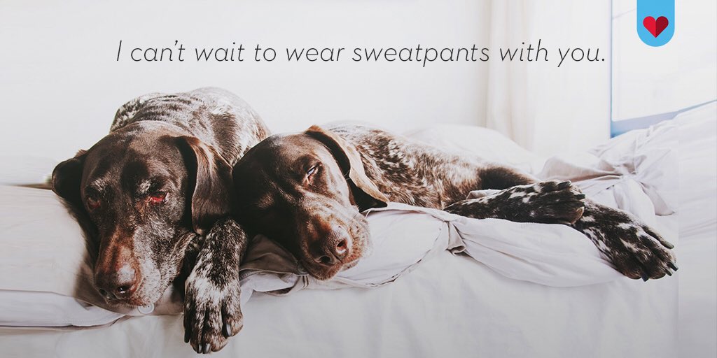Zoosk's tweet photo. Bring on the food coma 😛
#happythanksgiving #turkey #gobblegobble #sweatpantsthursday https://t.co/FGcnBYD44Y