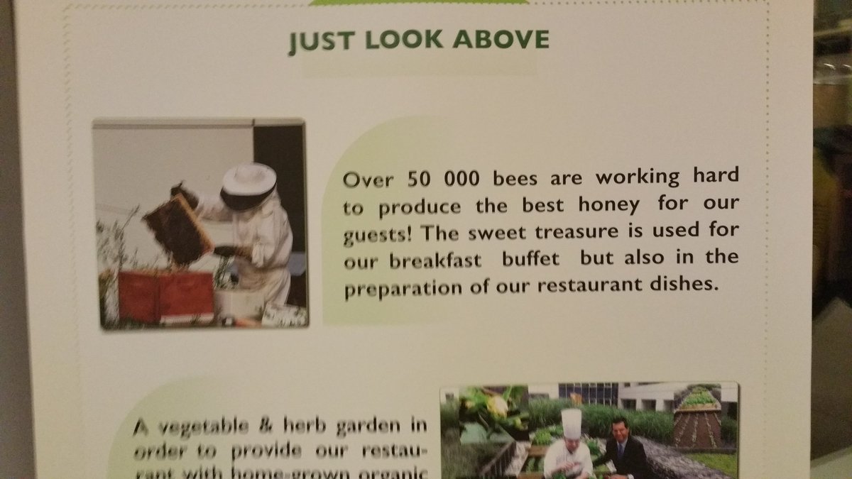 JohnBla46387646's tweet photo. @britishbeevets @BritishVets staying in a green hotel Bees on the 1st floor . Inspiring idea https://t.co/0Km5j5zsOG