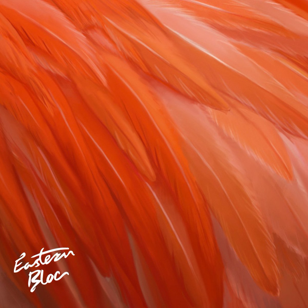 Premiere: @easternblocnz share debut EP, 'Flamingo', recorded @RBStudiosAKL 

nesthq.com/premiere-easte…
