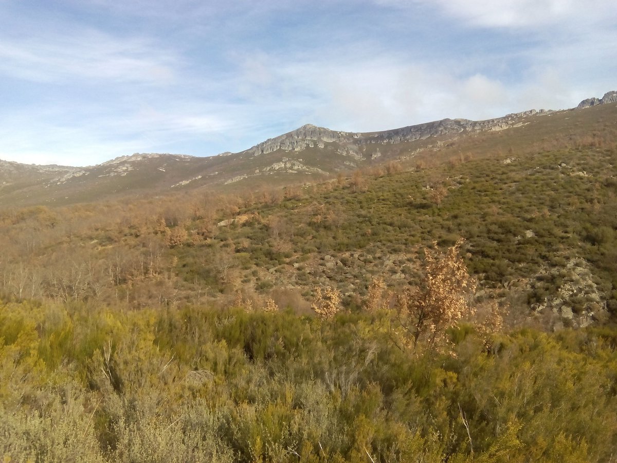 fungisco's tweet photo. #leonesp hoy un día espectacular en la Cabrera, aunque un poco de viento. https://t.co/MEKUoRUTQM