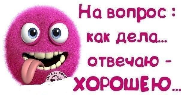 Дела отлично картинки приколы, поздравления днем рождения