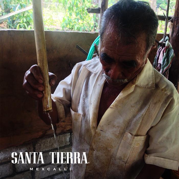 SantaTierra_'s tweet photo. José Cruz Calvo, maestro mezcalero encargado de darle ese sabor a nuestro #SantaTierra Tobalá. https://t.co/CmiPcGYacC