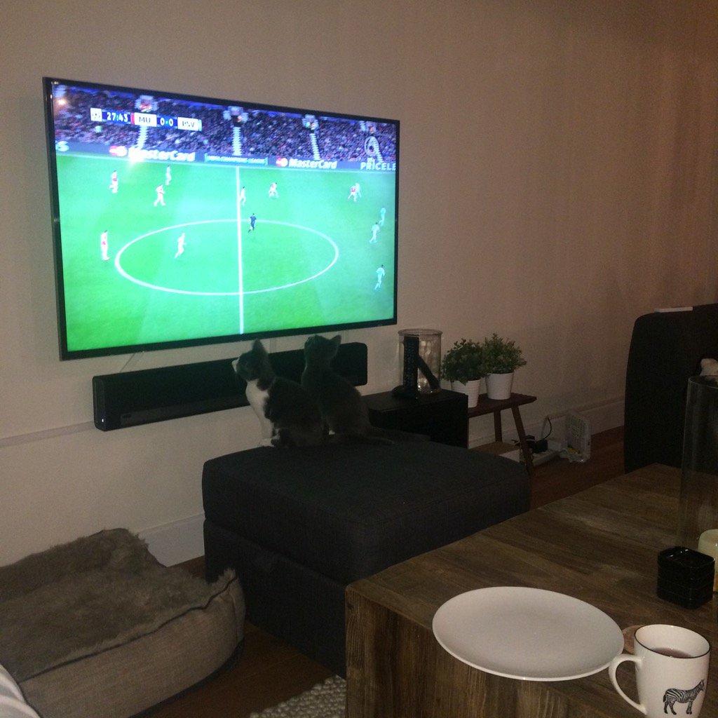bec_two's tweet photo. @james_twohey Fish &amp; Chips are football fans ⚽️⚽️ https://t.co/EbfhLkNmiG