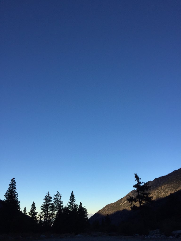 tabzzishere's tweet image. 📍: forest falls// early morning hiking 🌲