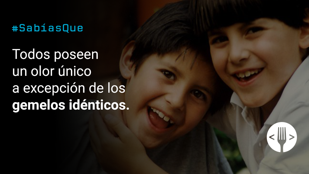 SomosEspagueti's tweet photo. #SabíasQue Por si decides orientarte por el olor para diferenciar gente. https://t.co/dauerkWwqj