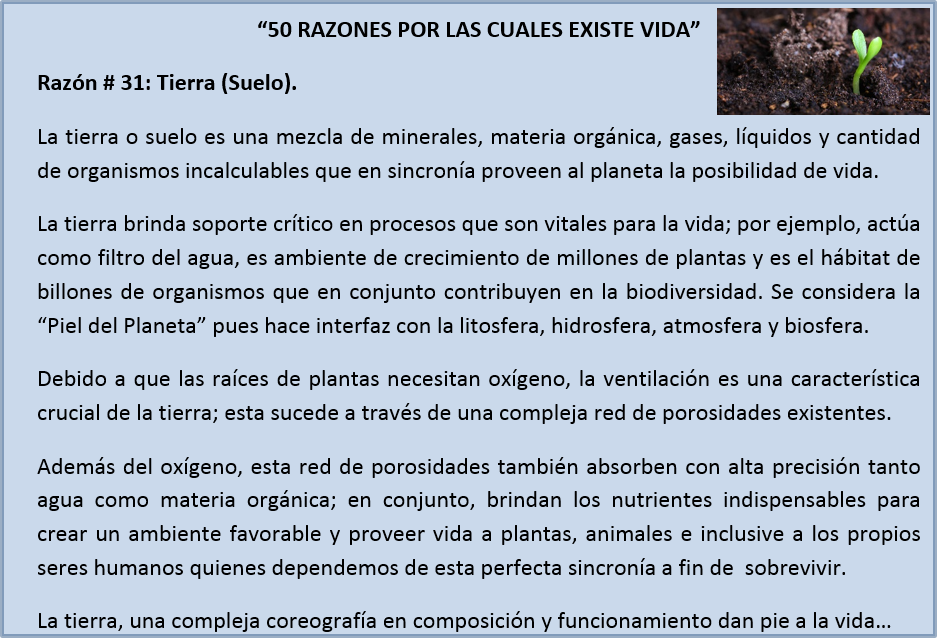 ikerhuitzi's tweet photo. "50 RAZONES POR LAS CUALES EXISTE VIDA" - Razón # 31: Tierra (Suelo). https://t.co/LDWyP7NSjR