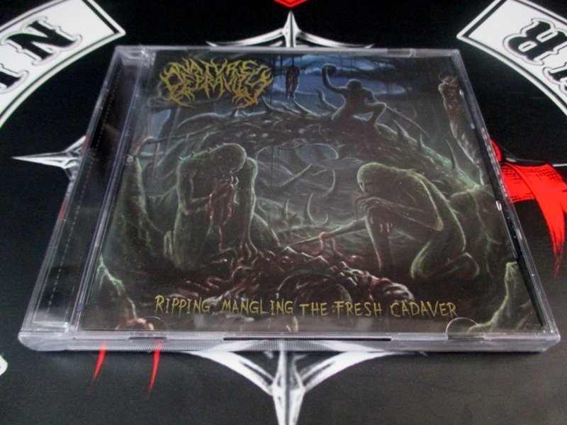 NATURE DEPRAVITY "CD" | 30.000 | INFO ORDER : 081906522666 / PINBB 26923AB0