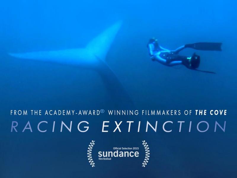 SylviaEarle's tweet photo. "What happens to this planet is now in our own hands.” #RacingExtinction #StartWith1Thing https://t.co/2tTpQCZQSz