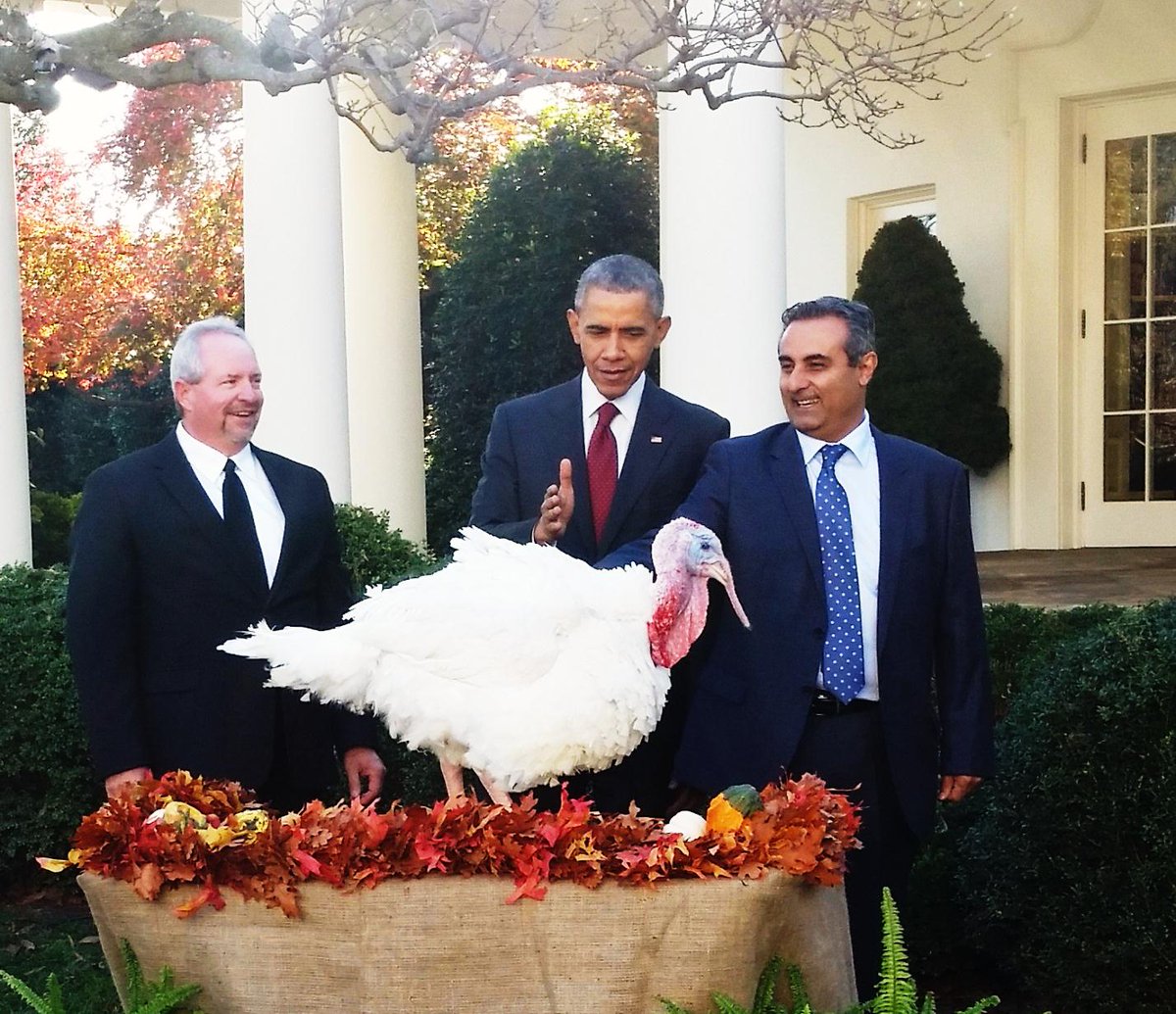 National Turkey Federation tweet media