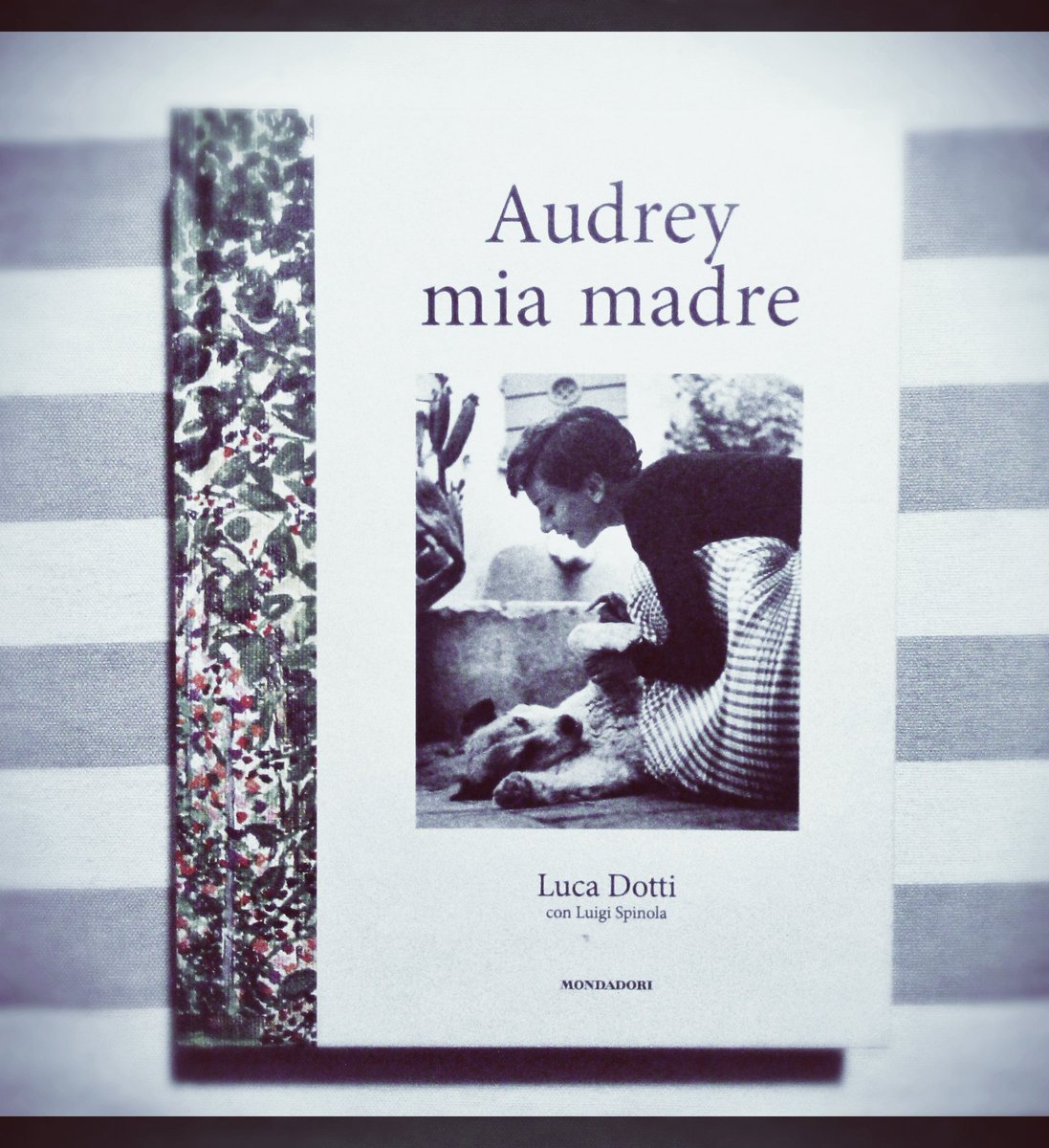 SimonaManganoni's tweet photo. Una #AudreyHepburn inedita, inaspettata, ancora più intrigante. Un'icona femminile intramontabile! @Librimondadori https://t.co/Dmuj78Pz10