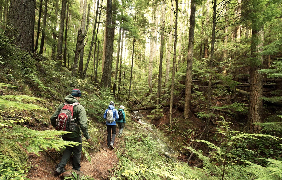 REI's tweet photo. @RunFitVegan 2 days until Black Friday &amp; we all #OptOutside. Still need ideas? Explore https://t.co/2kpyHbHCXf https://t.co/2vVsoGAS0P