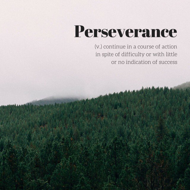 Perseverance is understanding your personal values and sticking to your plan regardless of the short-term outcome.