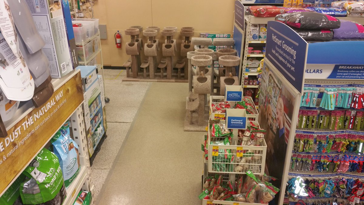 PetSmart tweet media