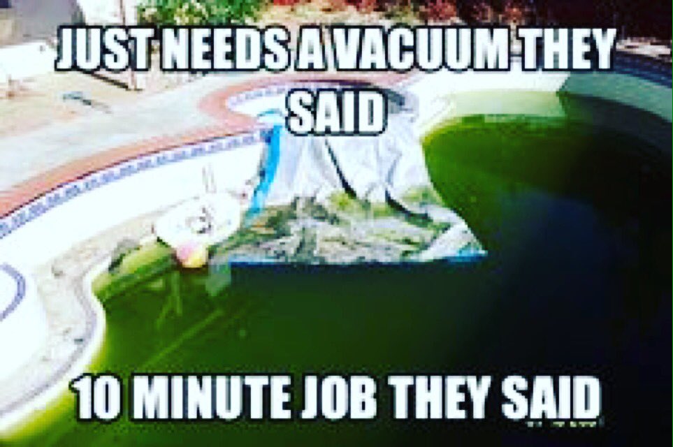 Pool Company Memes