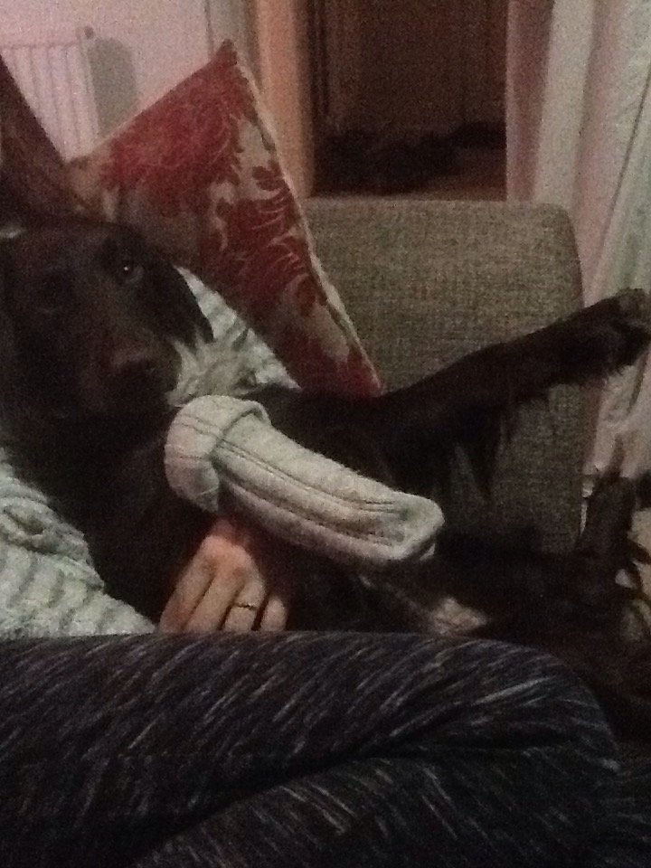 WR Audio tweet media