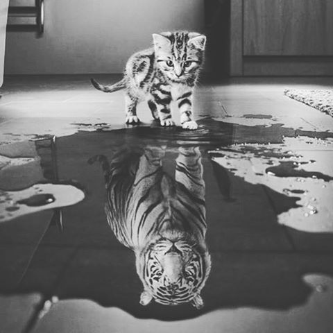obj's tweet image. Sometimes it about how YOU see yourself, not how others see you..