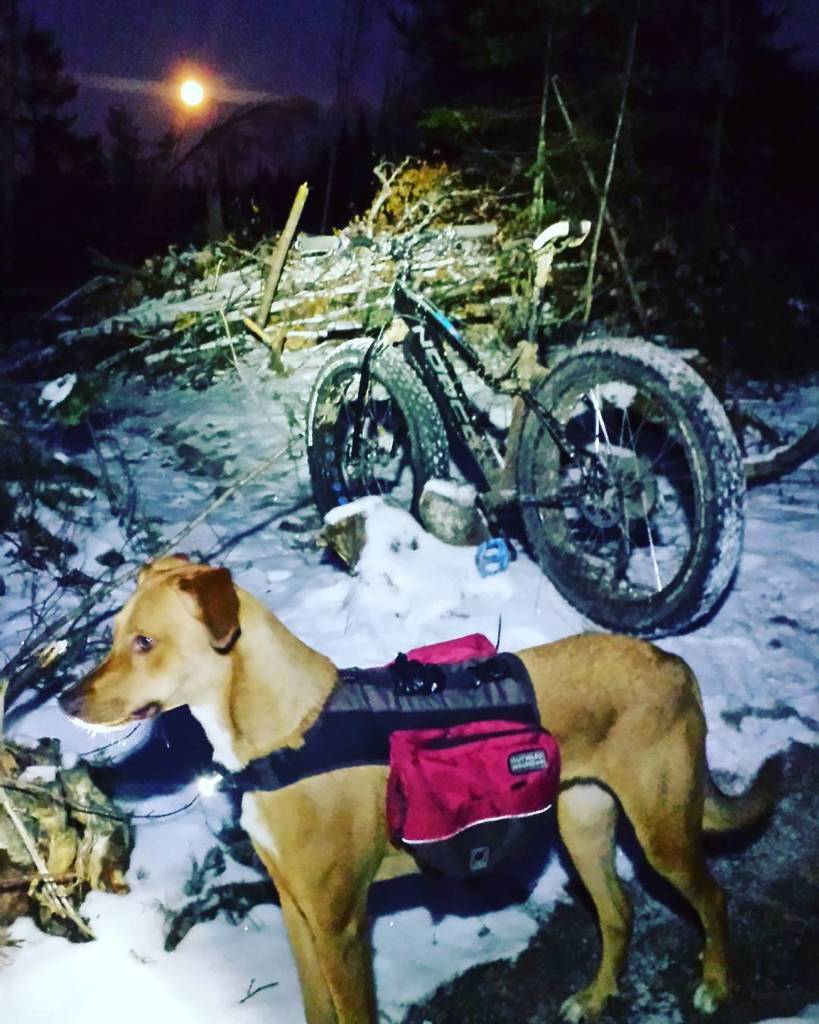 TuttoMTB's tweet photo. wrighta26 / Night riding season has begun, awesome moon helping us out tonight! #nightride #moonlitride #winterishe… https://t.co/ejY4B5wpoY