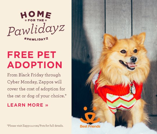 laurellee408's tweet photo. @BarackObama #Zappos giving free pet adoptions nationwide! RT to spread the word #pawlidayz https://t.co/nL6UUpPfi3 https://t.co/iC1n4ciXqy