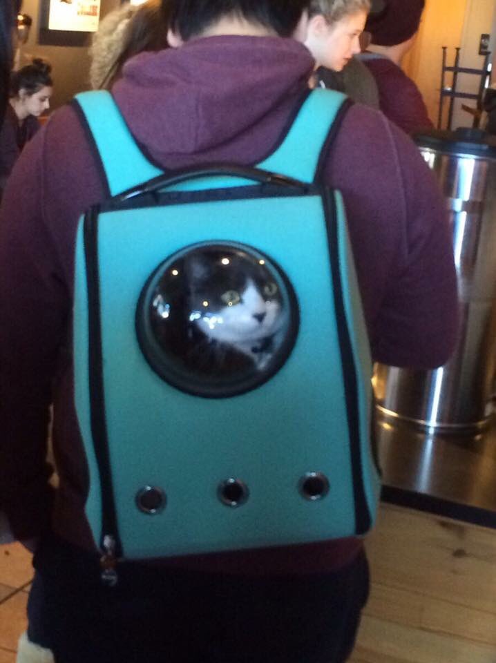 CrayyCatLady's tweet photo. WHERE CAN I GET ONE https://t.co/yDdOtcMtzu