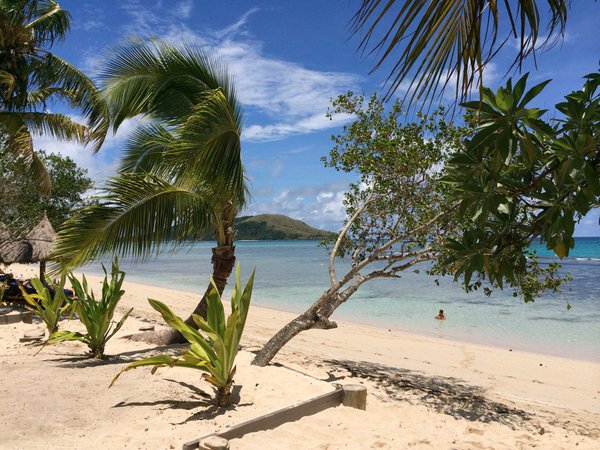 soela_vatubuli's tweet photo. My Island home, The Fiji Islands
#Fiji #sun #fun #sand #beach #noquviti #theperfectweather
#fijitime #fijiangirl https://t.co/KNcMiD2rgO
