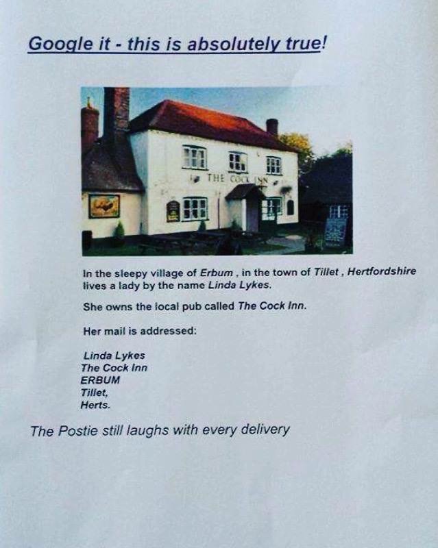 bigmilly's tweet image. @katetimmarty #possiblecontent